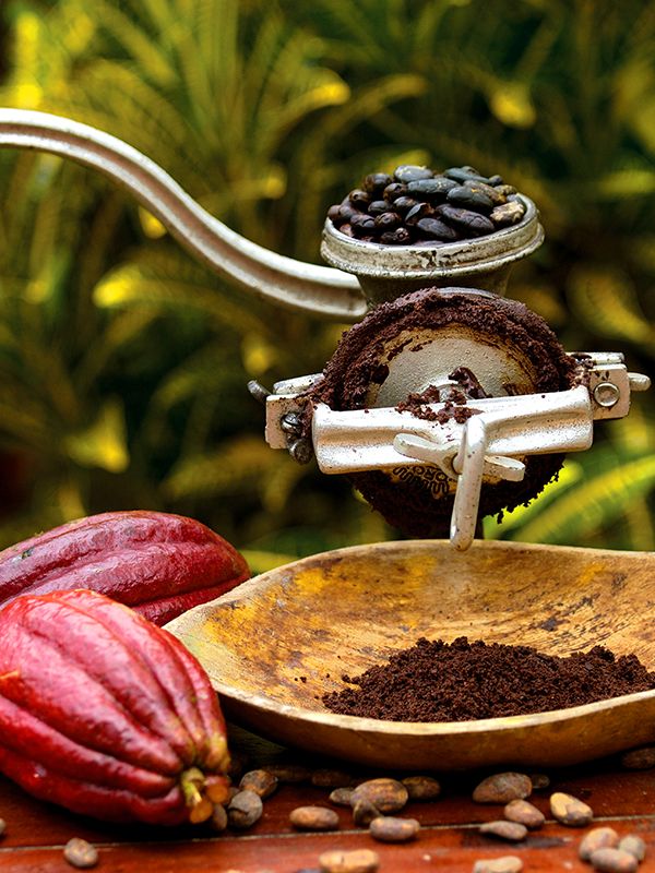 Molino tradicional para procesar cacao